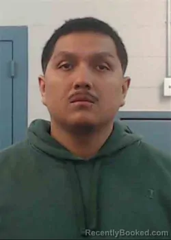 Mugshot of MARIO TORRES