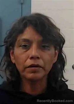 Mugshot of JANIE RUIZ MORIN