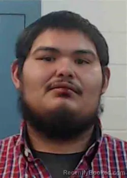 Mugshot of HUGO GIOVANNI VILLEGAS