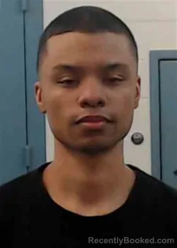 Mugshot of TREY HENRY PALMER