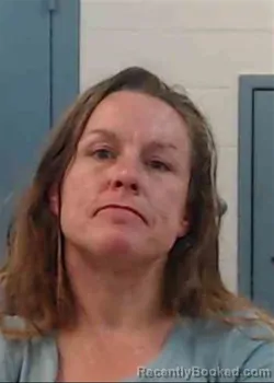 Mugshot of TERRI LYNN LEONARD