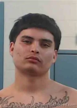 Mugshot of BRAXTON DON EUGENE MCHENRY