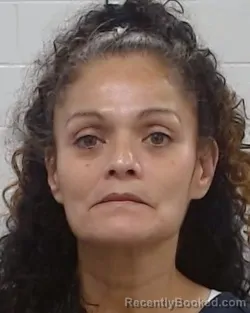 Mugshot of Shirley Ortega Trevino booked in Collin County, Texas on July 1, 2026