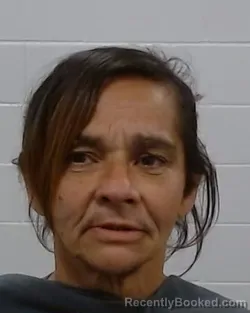 Mugshot of Alicia Tostado Grimaldo booked in Collin County, Texas on March 16, 2026