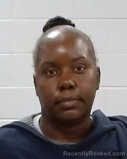 Mugshot of Amanda Renee Matlock booked in Collin County, Texas on April 8, 2026