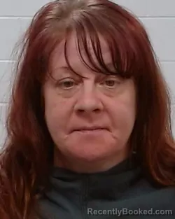 Mugshot of Alexia Shae Davis booked in Collin County, Texas on March 24, 2026