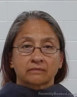 Mugshot of Melissa Ann Didi booked in Collin County, Texas on April 2, 2026