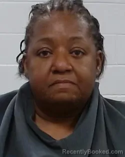 Mugshot of Nora Ann Jeffery booked in Collin County, Texas on March 24, 2026