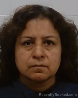 Mugshot of Antonia Maria Araiza Hernandez booked in Collin County, Texas on July 19, 2026