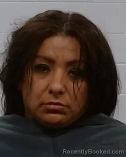 Mugshot of Cecilia Gonzales booked in Collin County, Texas on March 16, 2026