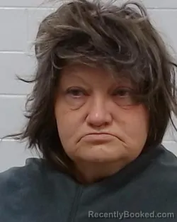 Mugshot of Lisa Ann Richards booked in Collin County, Texas on March 24, 2026