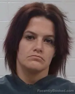 Booking photo from Collin County, Texas