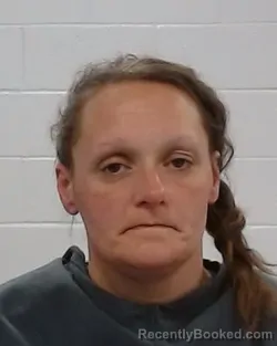 Mugshot of Jodie Lee Reeder booked in Collin County, Texas on March 15, 2026