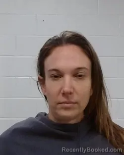 Mugshot of Constance Ann Swanston booked in Collin County, Texas on April 28, 2026