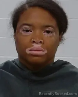 Mugshot of Tiane Lanae Turner booked in Collin County, Texas on March 24, 2026