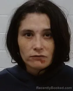 Mugshot of Ashley Reyna Lafon booked in Collin County, Texas on May 11, 2026