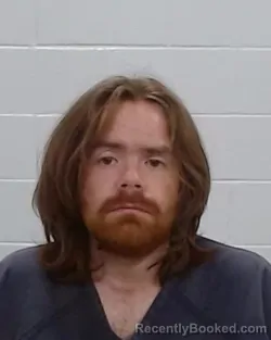 Mugshot of Matthew William Means