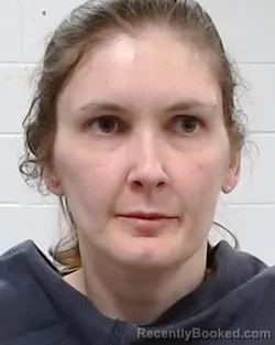 Mugshot of Stacy Dee Ann King booked in Collin County, Texas on April 3, 2026