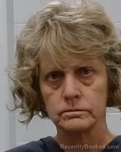 Mugshot of Robin Gina Nolen booked in Collin County, Texas on March 20, 2026