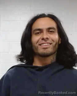 Mugshot of Ricardo Carillo