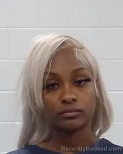 Mugshot of Heaven Monae Harris booked in Collin County, Texas on April 4, 2026