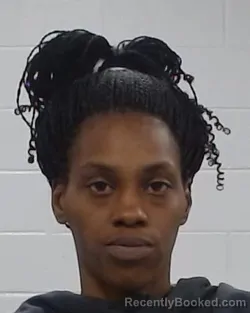 Mugshot of Tameka Deshon Williams booked in Collin County, Texas on June 30, 2026