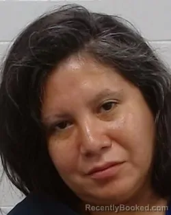 Mugshot of Cecilia Rosann Torres booked in Collin County, Texas on August 29, 2026