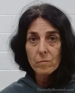 Mugshot of Marsha Ann Stephens booked in Collin County, Texas on March 19, 2026