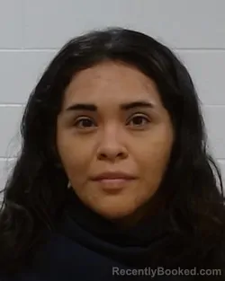 Mugshot of Deborah Beatrice Garcia booked in Collin County, Texas on May 16, 2026