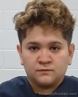 Mugshot of Adminta Ahumada Fernandez booked in Collin County, Texas on April 1, 2026