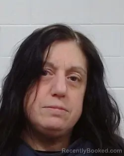 Mugshot of Tracey Lynn Peterson booked in Collin County, Texas on April 2, 2026