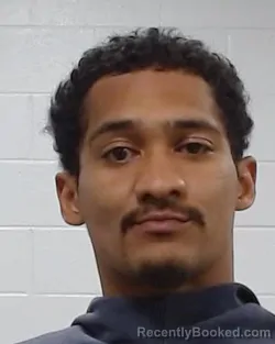 Mugshot of III Biscarro booked in Collin County, Texas on March 24, 2026