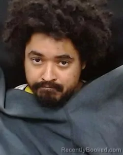 Mugshot of Colin Michael Sabo booked in Collin County, Texas on March 31, 2026