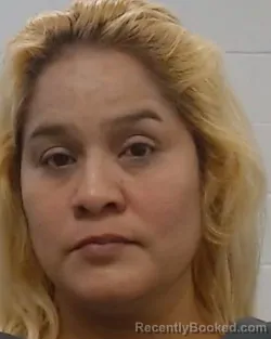 Mugshot of Maria Elena Guerrero Mendoza