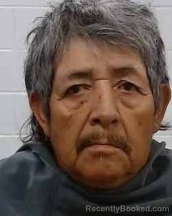 Mugshot of Pedro Rubio-Leon booked in Collin County, Texas on March 19, 2026