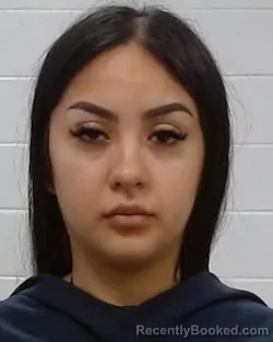 Mugshot of Melanie Lizeth Santibanez booked in Collin County, Texas on May 23, 2026