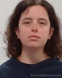 Mugshot of Alyson Rose Wells booked in Collin County, Texas on April 1, 2026