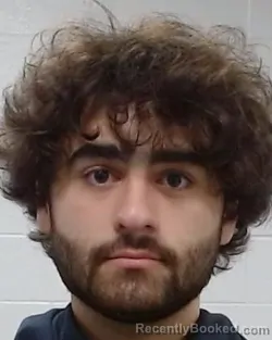 Mugshot of James Michael Lendino booked in Collin County, Texas on April 1, 2026