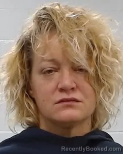 Mugshot of Ashley Denise Shavers booked in Collin County, Texas on April 1, 2026