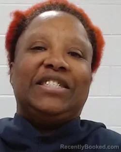 Mugshot of Treva T Perkins booked in Collin County, Texas on March 30, 2026