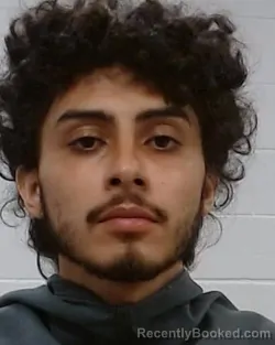 Mugshot of Matthew Habib booked in Collin County, Texas on March 24, 2026