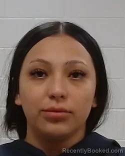 Mugshot of Viviana Ortiz Perez booked in Collin County, Texas on August 20, 2026
