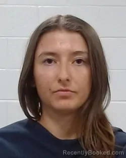 Mugshot of Jamecyn Christian Hamous booked in Collin County, Texas on April 1, 2026