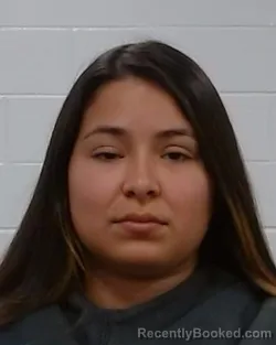 Mugshot of Desteny Herrera Mijares booked in Collin County, Texas on March 22, 2026