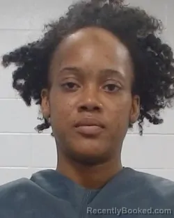 Booking photo from Collin County, Texas