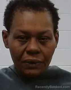 Mugshot of Ruby Jewel Bailey booked in Collin County, Texas on March 18, 2026