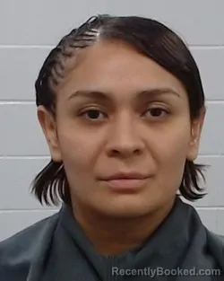 Mugshot of Thelma A Alvarez booked in Collin County, Texas on March 24, 2026