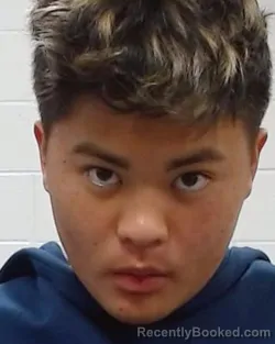 Mugshot of Eden Tan-Sang Doan booked in Collin County, Texas on April 24, 2026