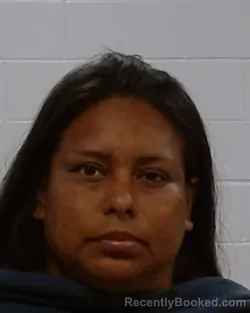 Mugshot of Araceli Ramos booked in Collin County, Texas on June 1, 2026
