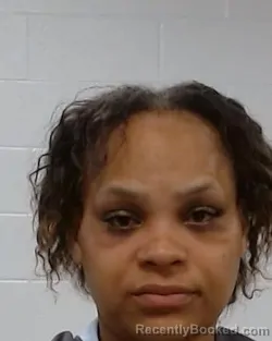 Mugshot of Stephanie Rochelle Gayden booked in Collin County, Texas on April 28, 2026